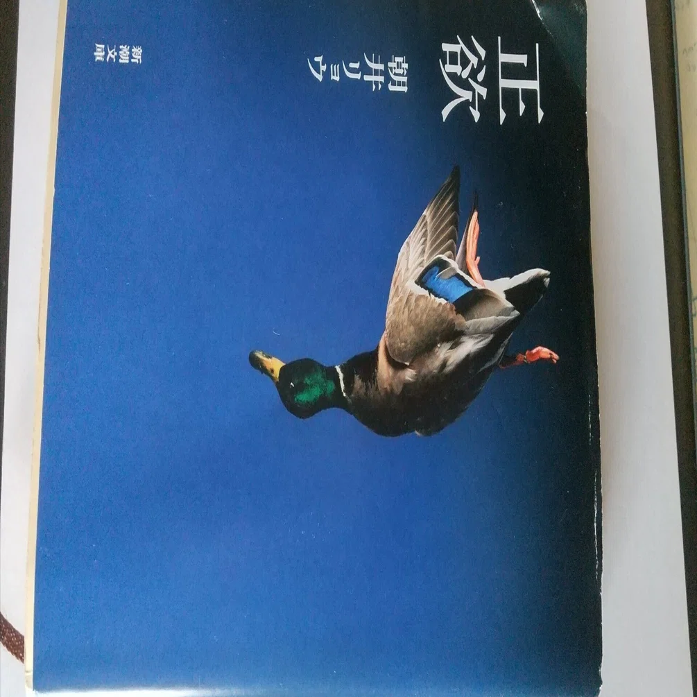 朝井リョウ著「正欲」読みました｜そら