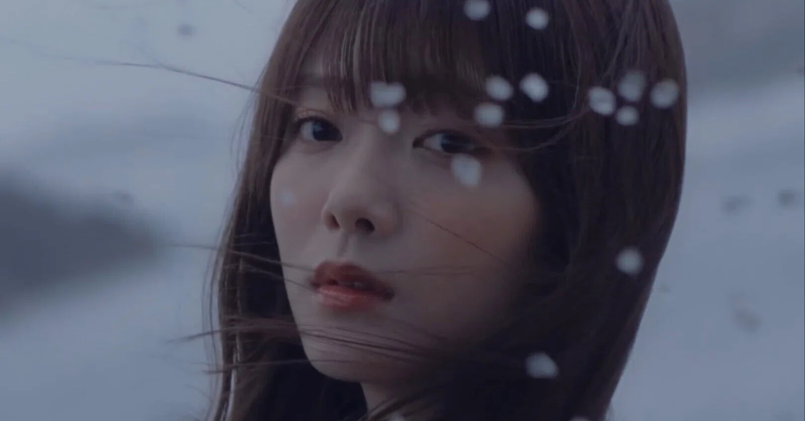 未だ見ぬBuddiesへの手紙——櫻坂46『ドローン旋回中』｜cathouse