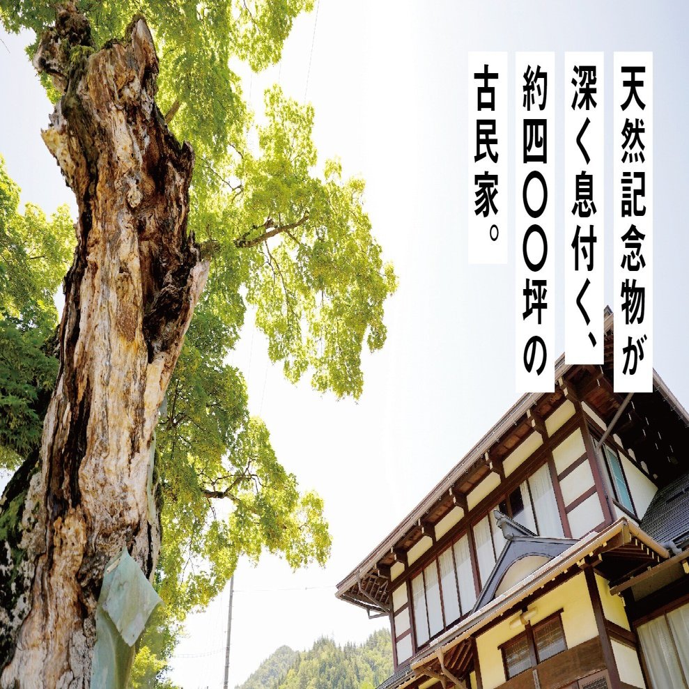 飛騨市で田舎暮らし】 天然記念物が息付く、約400坪の古民家を購入した