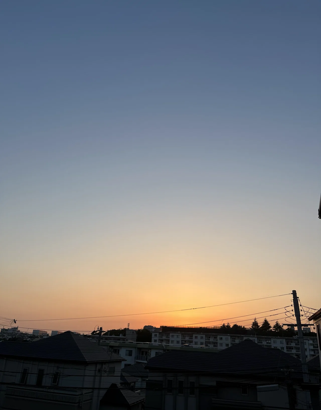 今日は満月の様ですね。夕日が暮れたばかりの夕暮れの可愛い色の空から始まる7月3日もう7月なのね。😆そして先週ペットとの暮らしでスキを集めた ...