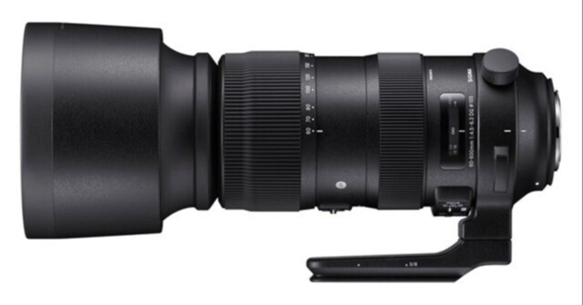 くらしを楽しむアイテム SIGMA Sports購入レビュー｜旦那 HSM OS DG F4.5-6.3 60-600mm レンズ(ズーム)
