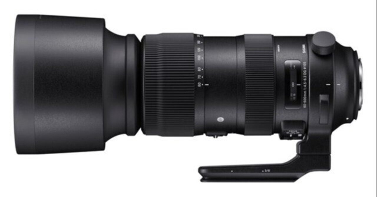 SIGMA 60-600mm F4.5-6.3 DG OS HSM Sports購入レビュー｜旦那