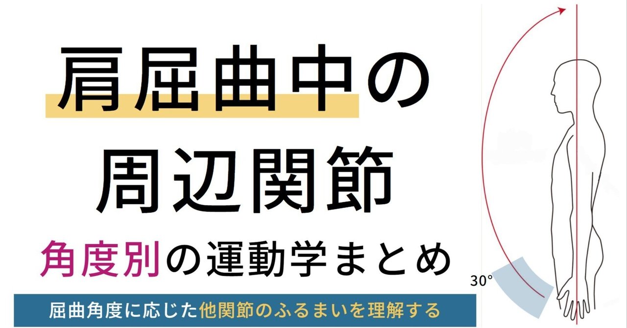 肩関節の屈曲 可動域別メモ｜理学療法メモ