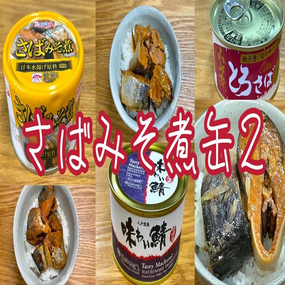 さばみそ煮缶2｜小野瀬雅生