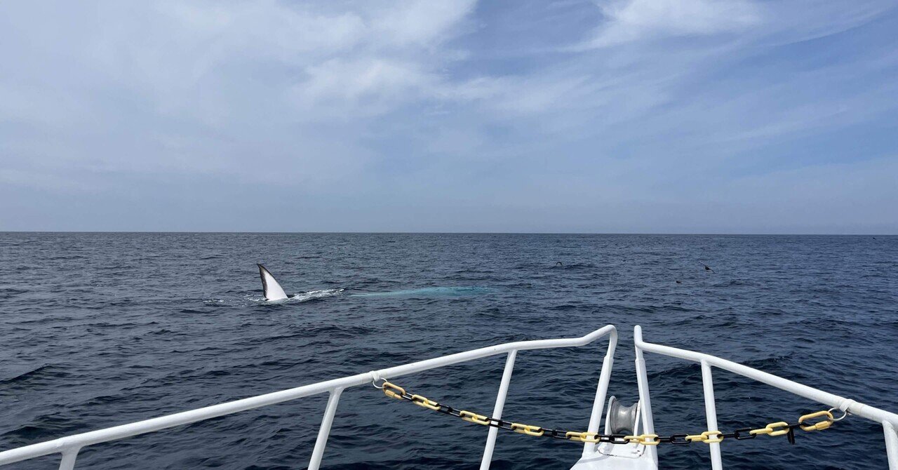 一泊二日網走一人旅｜オホーツク海でクジラに出会う｜じゃがたろ