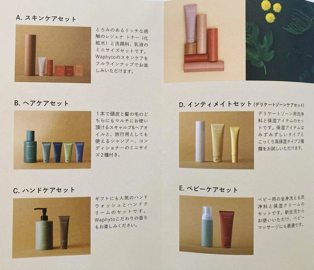 株主優待備忘録。武蔵精密工業からWaphyto（ワフィト）カタログ到着｜manon