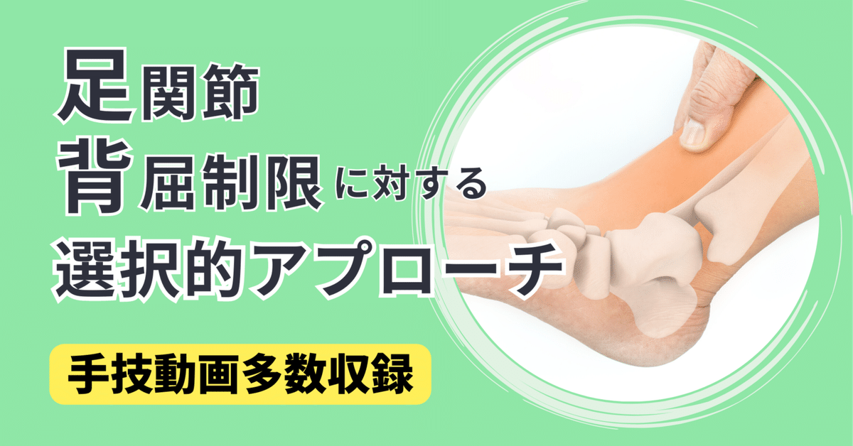 足関節背屈制限に対する選択的アプローチ【サブスク】｜理学療法