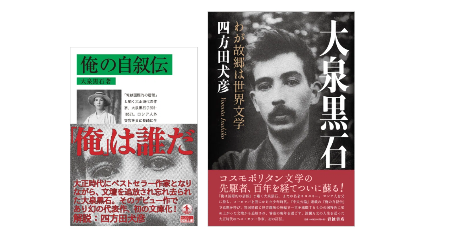 大泉黒石全集　全８巻　緑書房 大泉黒石全集 全9冊揃い(大泉黒石全集刊行会編) / 古本、中古本、古 文学・小説