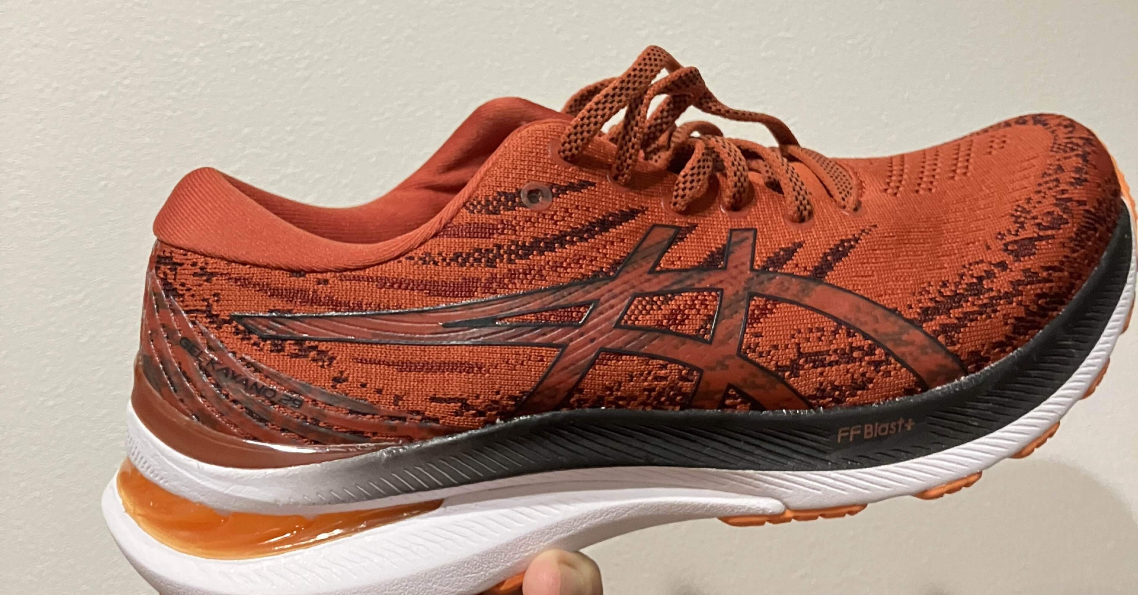 レビュー？】今更ゲルカヤノ29｜msy