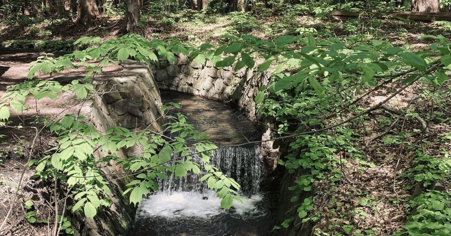 反証可能性は万能ではない≠反証可能性は大事ではない｜福田純也 Junya