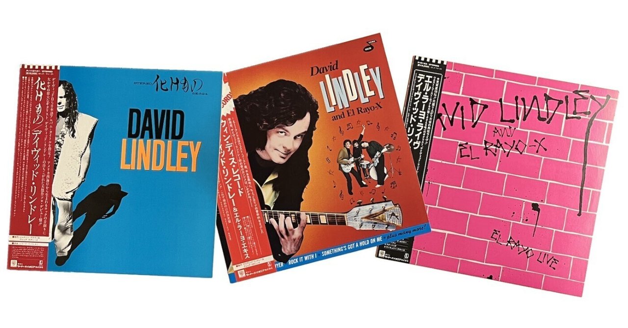 💿追悼 David Lindley｜長畑ひろのり