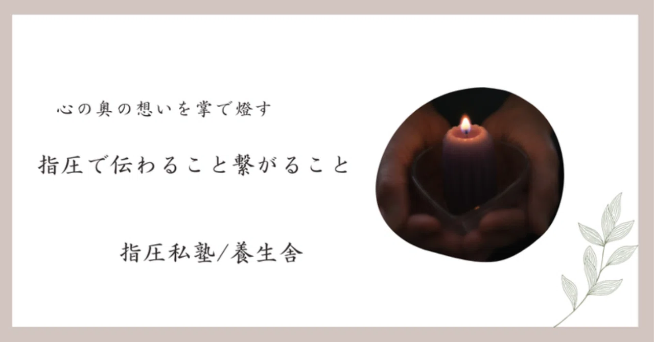 禅指圧 テキスト Namikoshi Shiatsu -Theory and Practice - 日本指圧専門学校 禅指圧