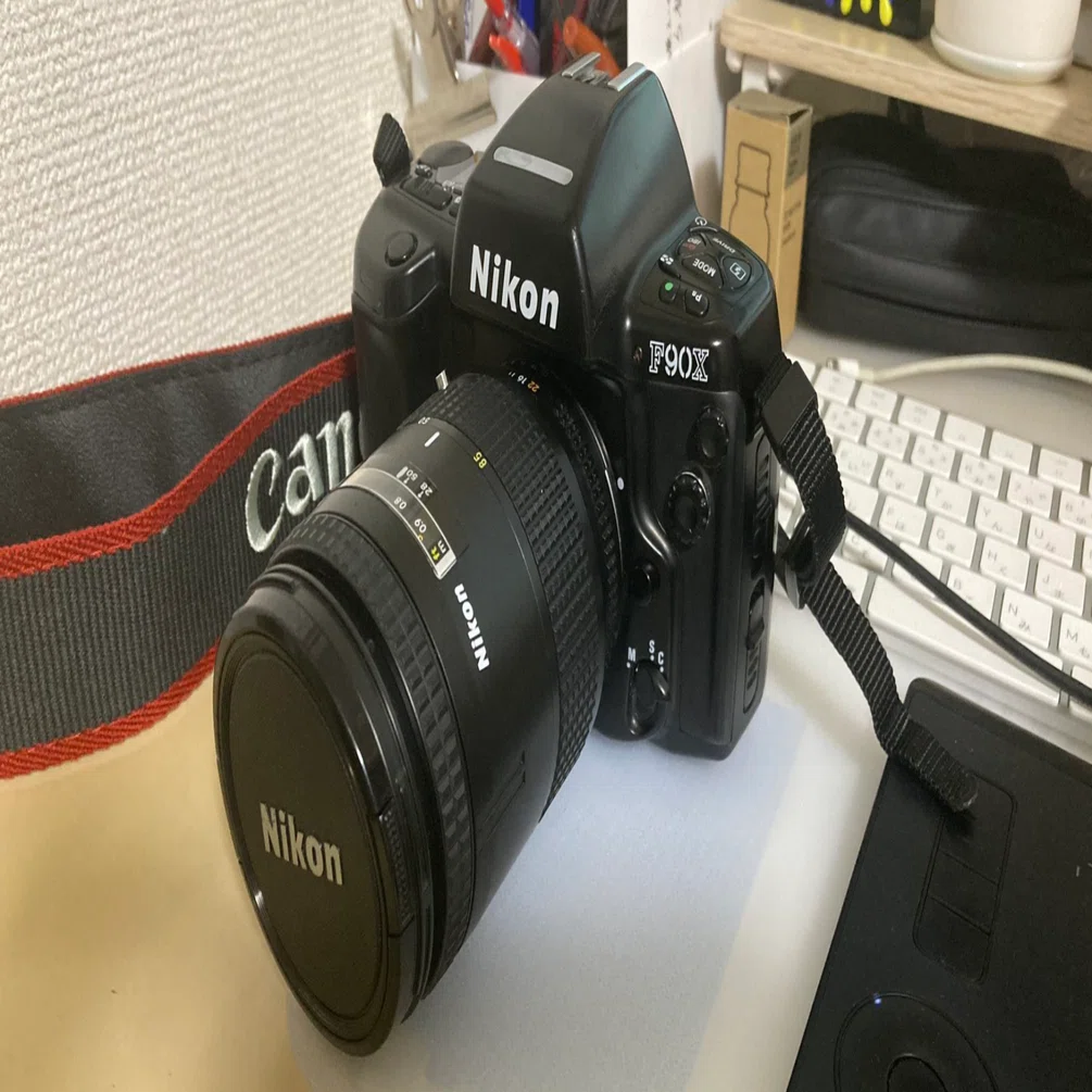 Nikon F90X 一眼レフカメラ MB-10付き　実写作例あり ジャンクカメラで遊ぼう】Nikon F90X 作例 - PHOTOWALK~写真やカメラの話~