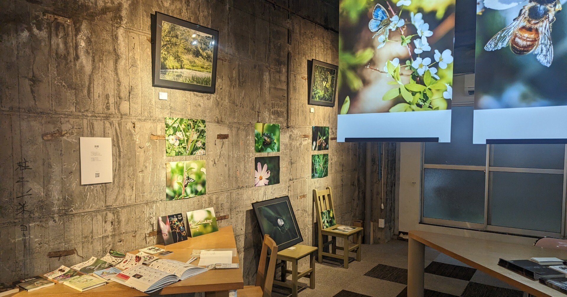 写真展で垣間見させる