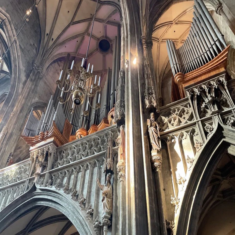 シュテファン大聖堂（Domkirche St. Stephan）🇦🇹｜吉岡瑞貴