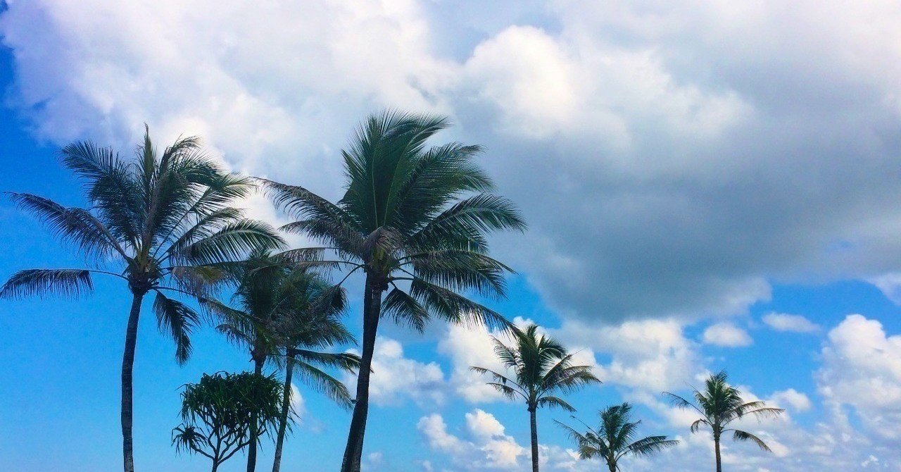 解体 アローラナッシー たまなげりゅうせいぐん もっと使いたい 夜桷 Note 解体 アローラナッシー たまなげりゅうせいぐん もっと使いたい 夜桷 Note