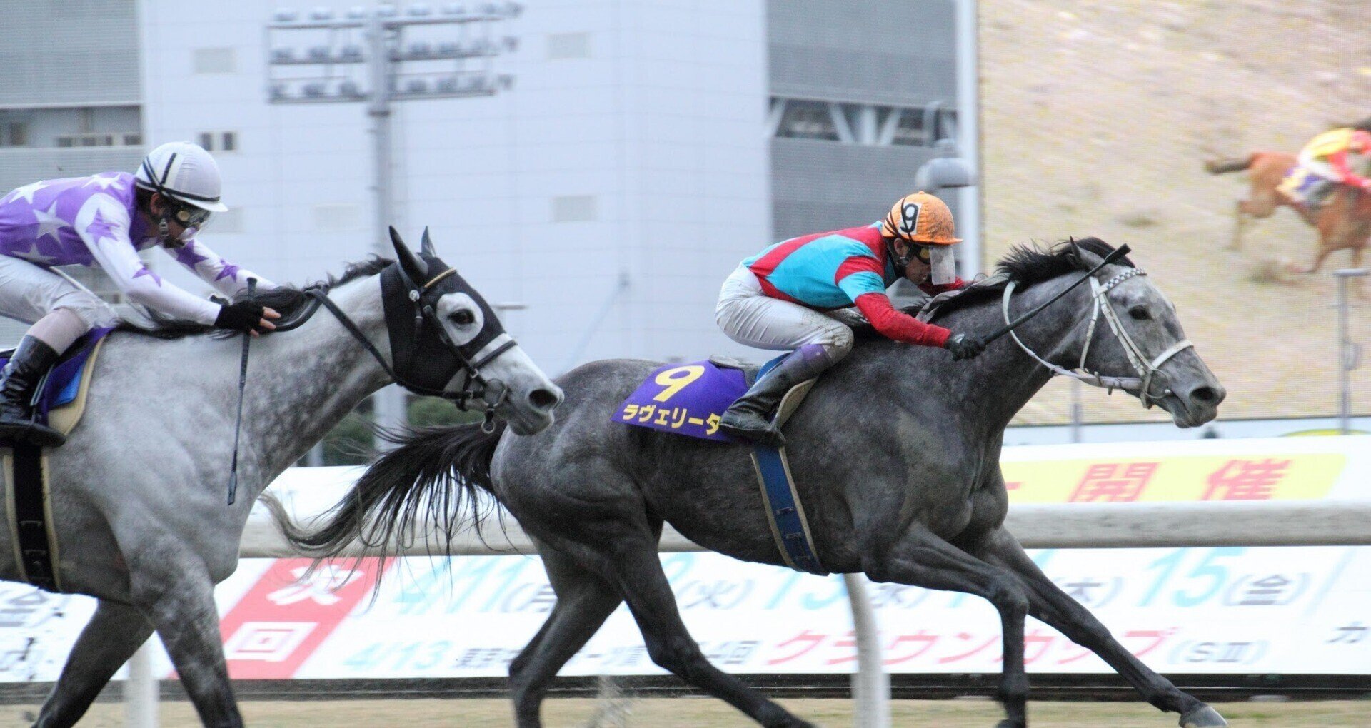 宮田式裏ワザ万穴術 : 全競馬場でとことん儲ける 宮田式裏ワザ万穴術: 全競馬場でとことん儲ける (サラ・ブックス