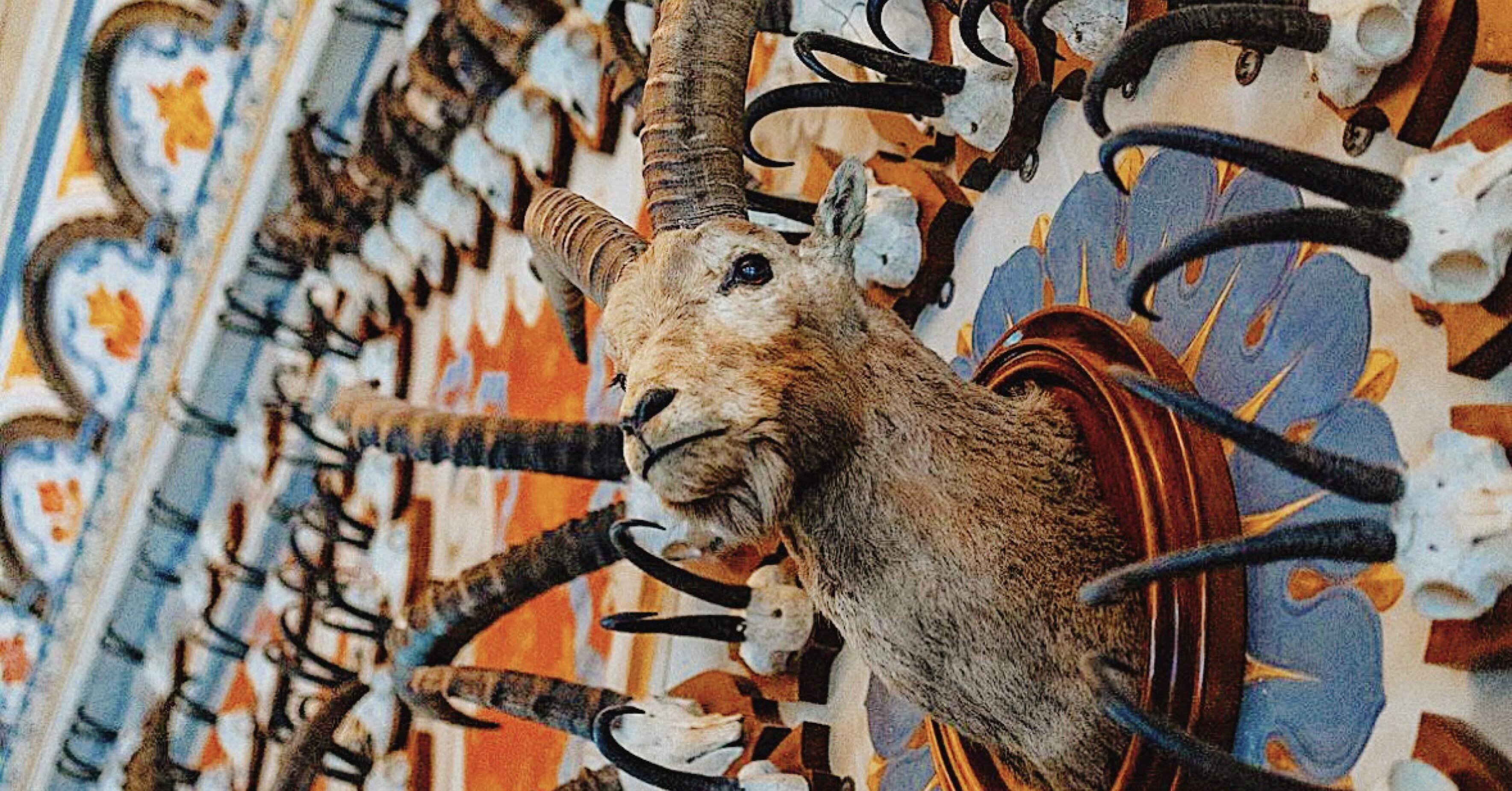 欲張り学生のイタリア・アオスタ旅行記（2022.04)骸骨に囲まれた部屋