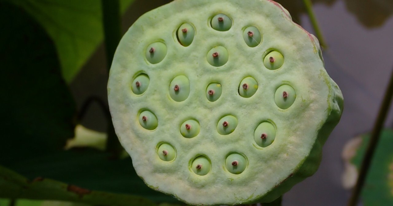 rectangle_large_type_2_57d3d5f