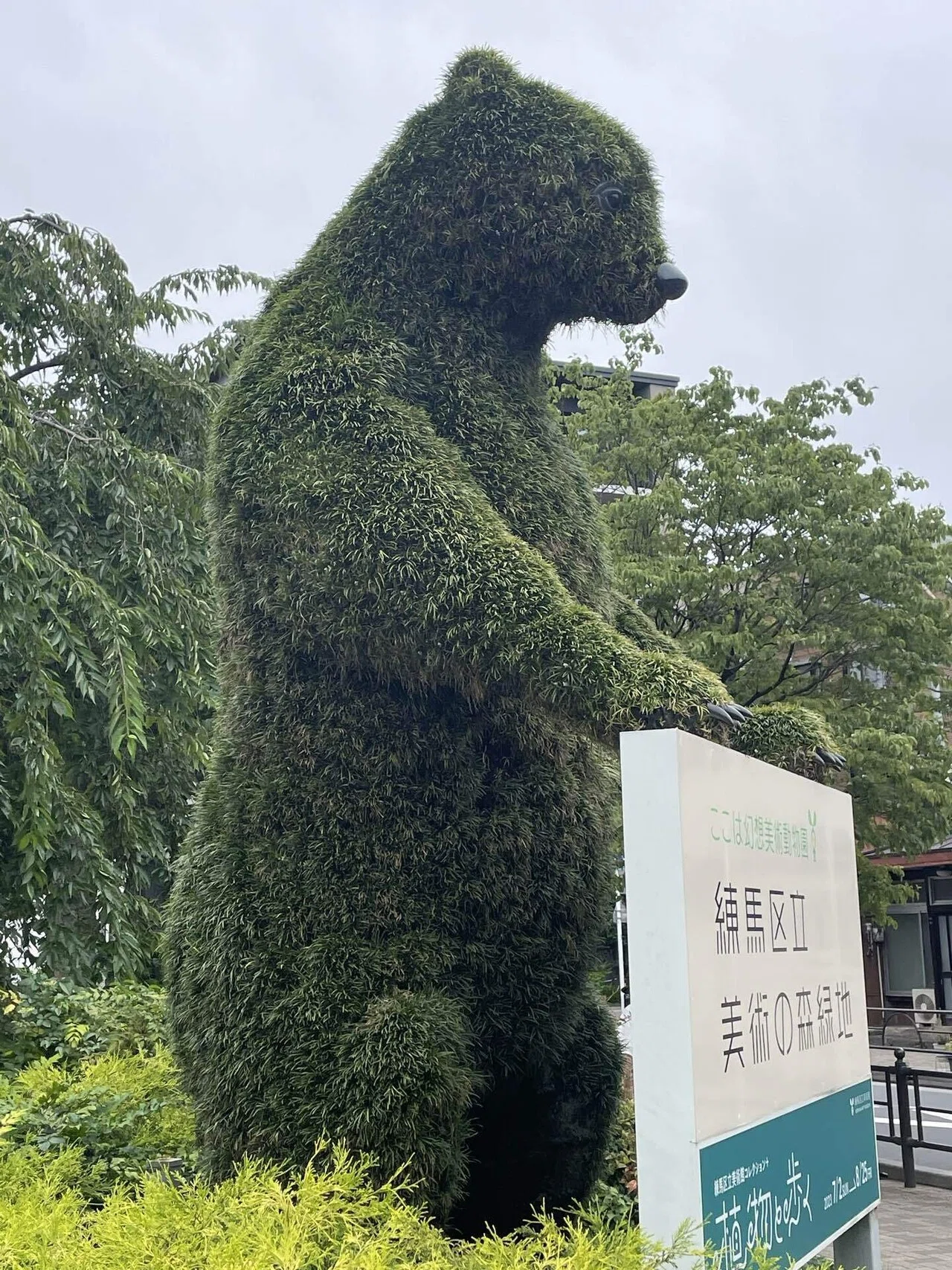 植物と歩く〜牧野富太郎さんの植物画から〜🪴｜あこ
