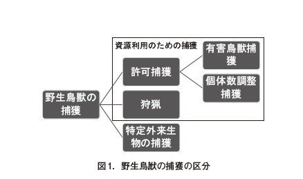 鳥獣捕獲の際の止め刺し等における安全管理について Tsutomu 5 10 Note