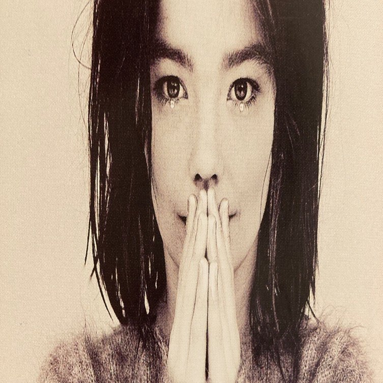 Björk / Debut (1993)｜no good