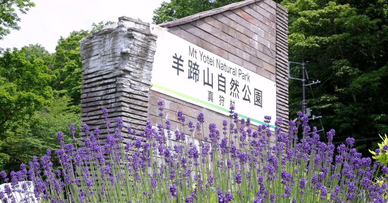 ☆高橋益之☆「水ばしょう」油絵　SMサイズ　良好！ 2025年最新】高橋益之の人気アイテム - メルカリ