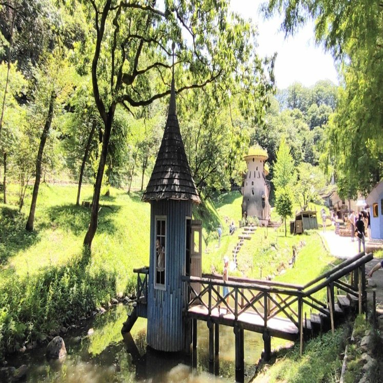 埼玉ウォーカー】古代蓮の里とトーベ・ヤンソンあけぼのの森公園