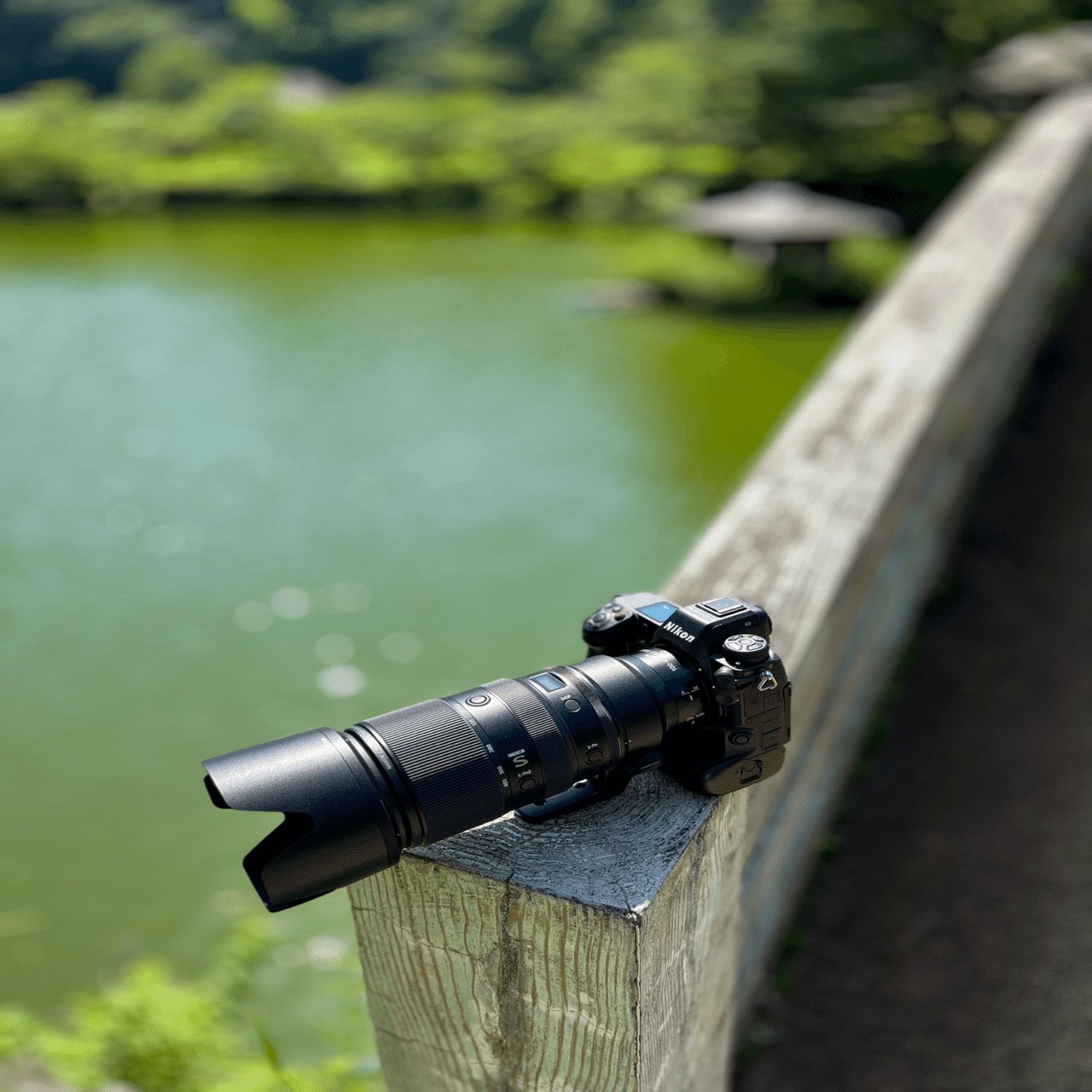 Nikkor Z100-400mm f/4.5-5.6 VR S実写レビュー｜Alice_photolog