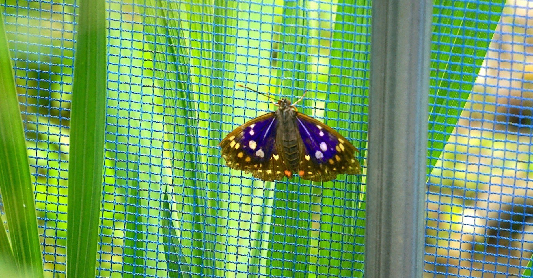 655dd236c668a28baacbac285390a8