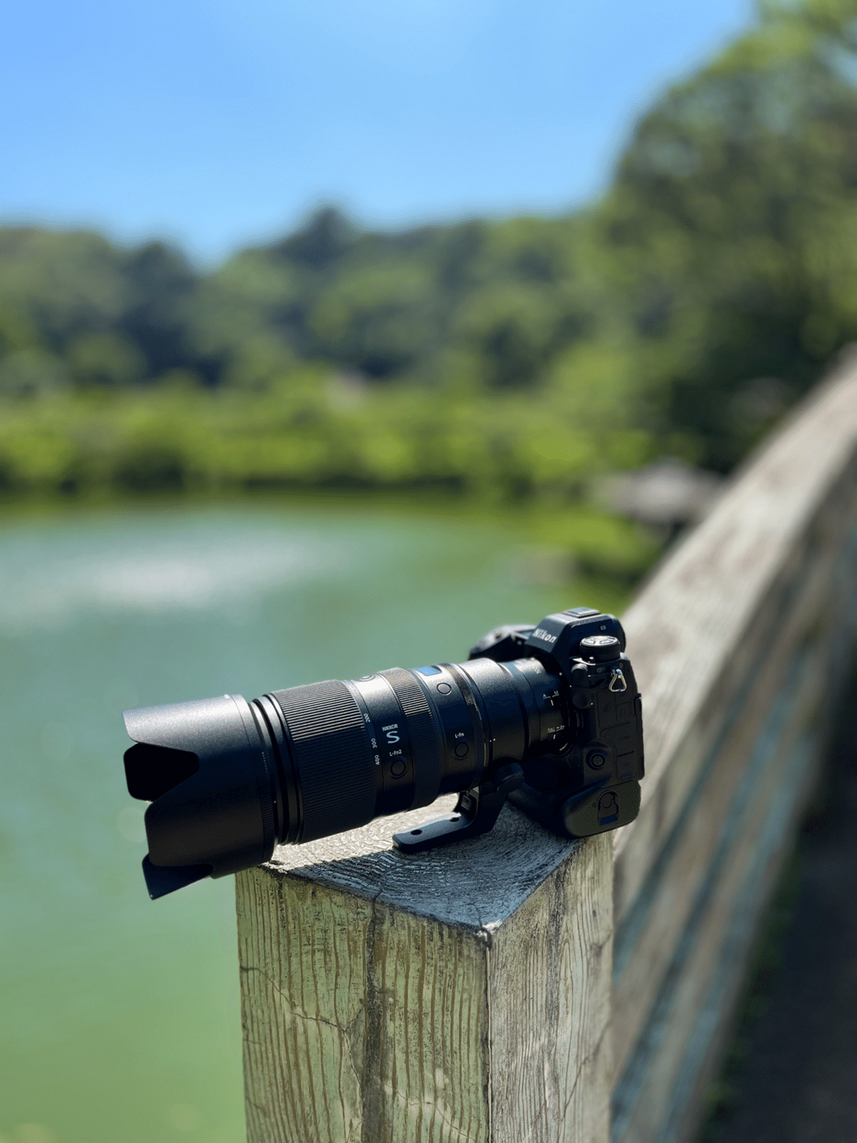 Nikkor Z100-400mm f/4.5-5.6 VR S実写レビュー|Alice_photolog Nikkor Z100-400mm f/4.5-5.6 VR S実写レビュー|Alice_photolog