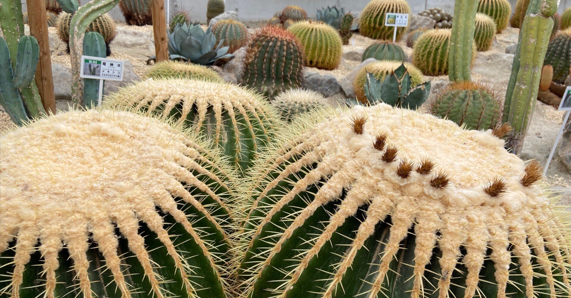 3c374dc9e16b44e14848da61ef0a51