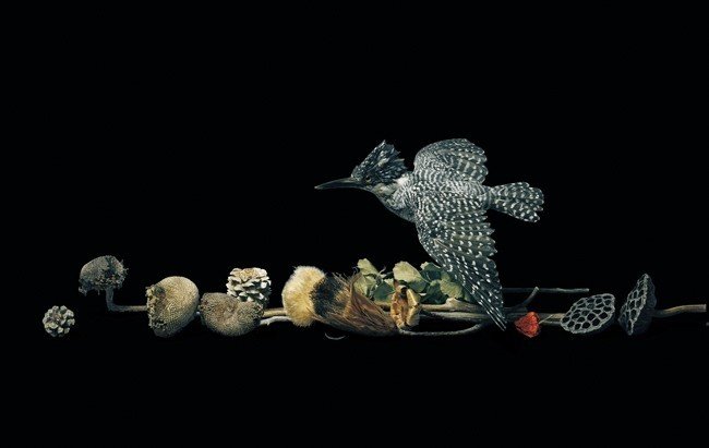 アートのミカタ23】野田弘志｜らち