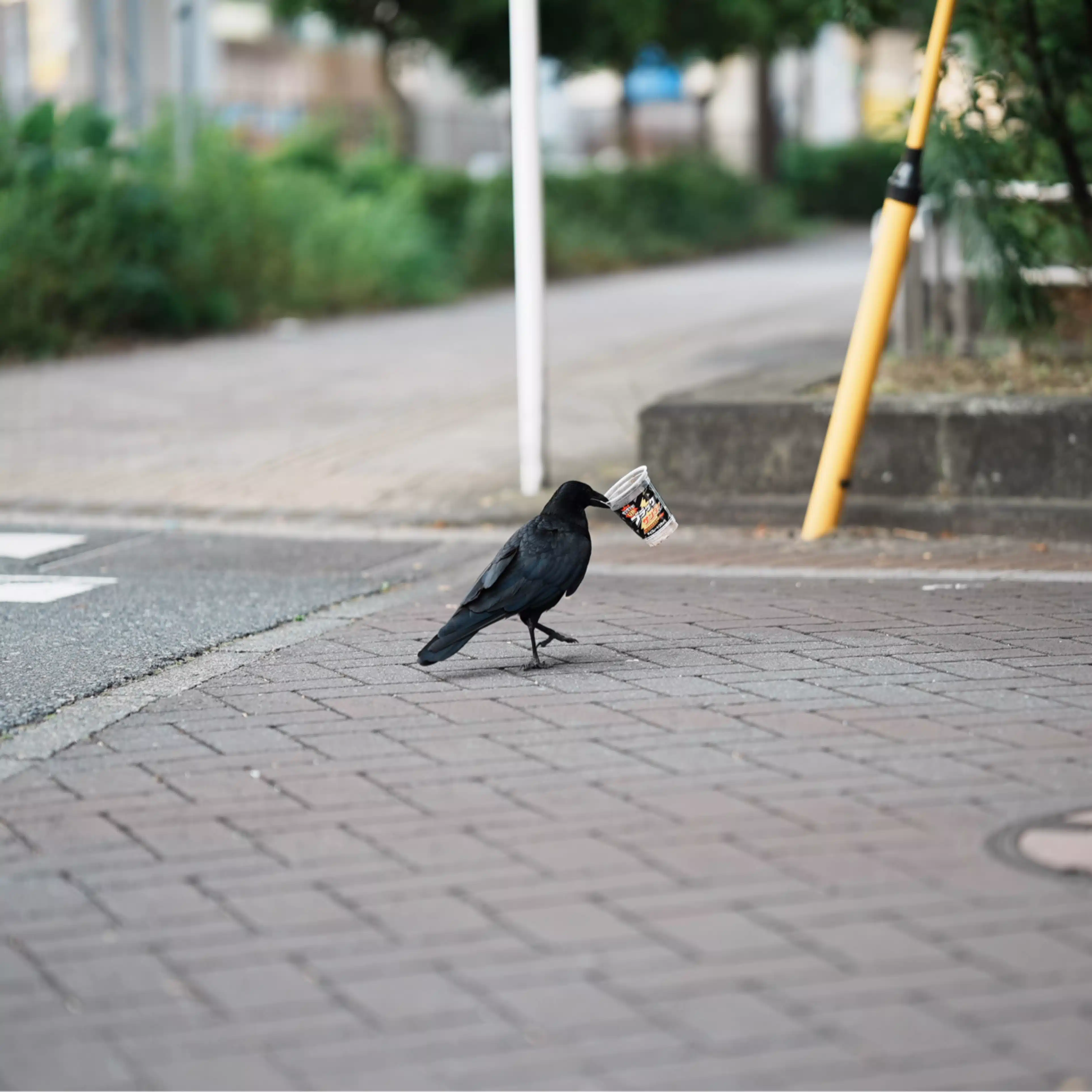 自己満足かもしれない、よしお