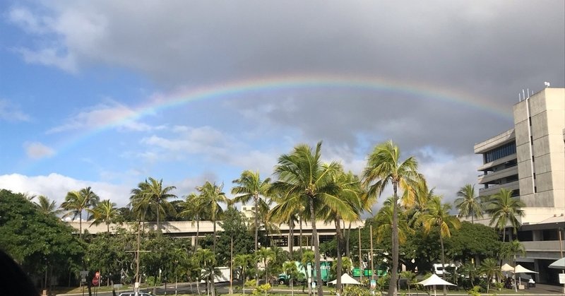 ハワイ1日目🦋🌴🌺