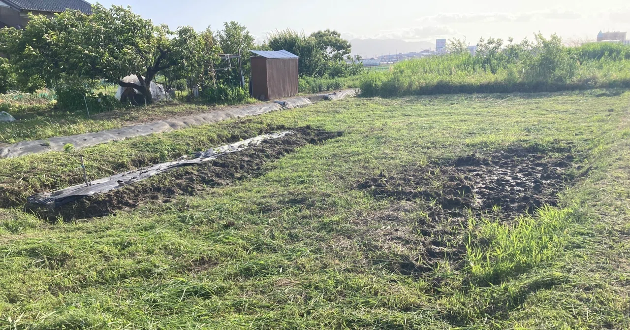 休耕田の活用② / 地方の「負」動産(岐阜で、土に触れる #4)|土と生き物に触れる(岐阜)