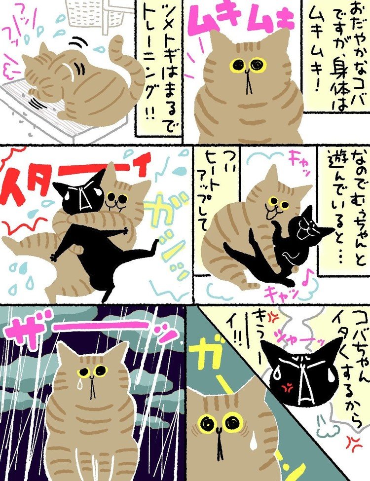 心にすぐ大雨が降る繊細なコバちゃん...😿☔️