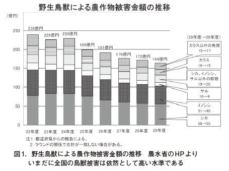 電気を使用した捕獲個体の処理 Tsutomu 5 10 Note 電気を使用した捕獲個体の処理 Tsutomu 5 10 Note