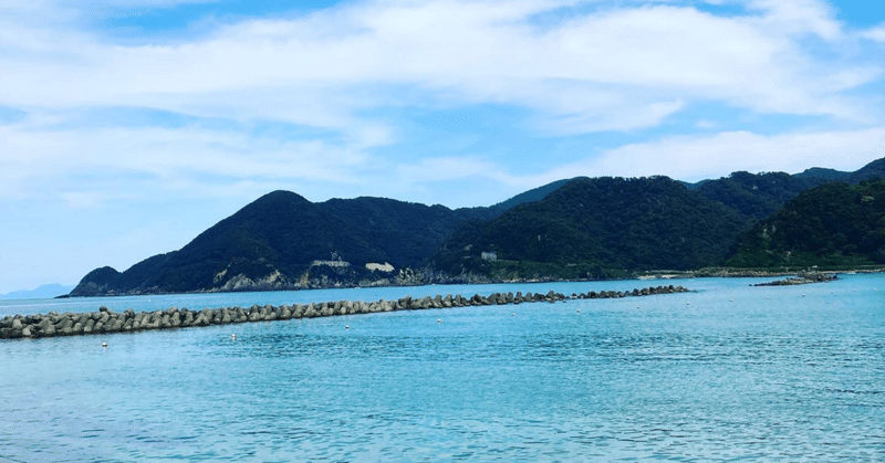 大阪から日帰りダイビングで兵庫県の竹野の海で潜った話