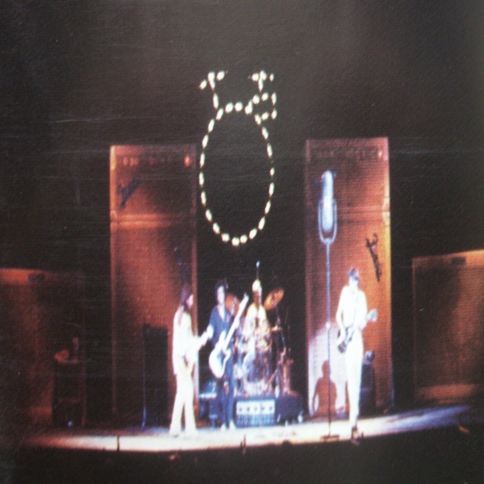 レッチリ　Lサイズ　ニールヤング レッチリ Lサイズ ニールヤング レッチリ Lサイズ ニールヤング 楽天