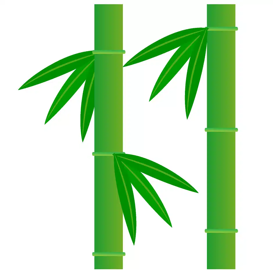 竹■生