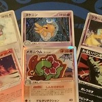 ADV-PCG】ライボルトex単のデッキレシピと概要【RS-PK】|寒天(奏天) ADV-PCG】ライボルトex単のデッキレシピと概要【RS-PK】|寒天(奏天)