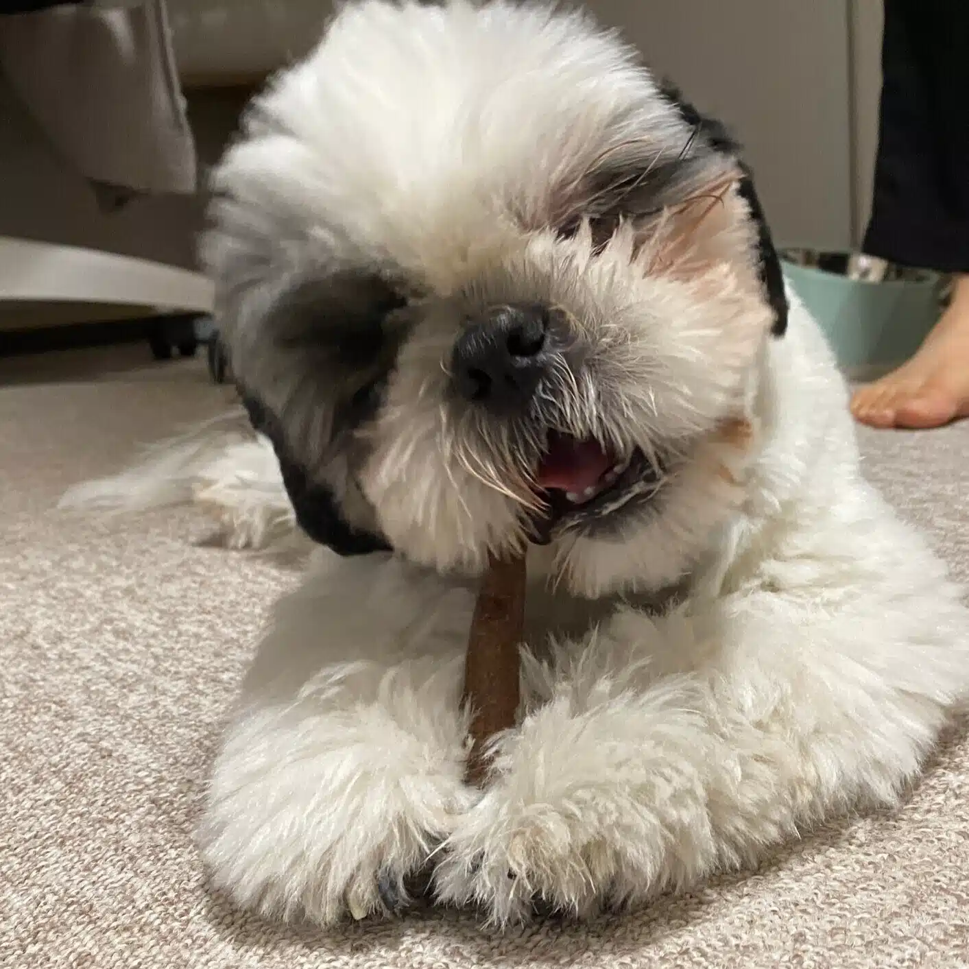 藤沼たかこ