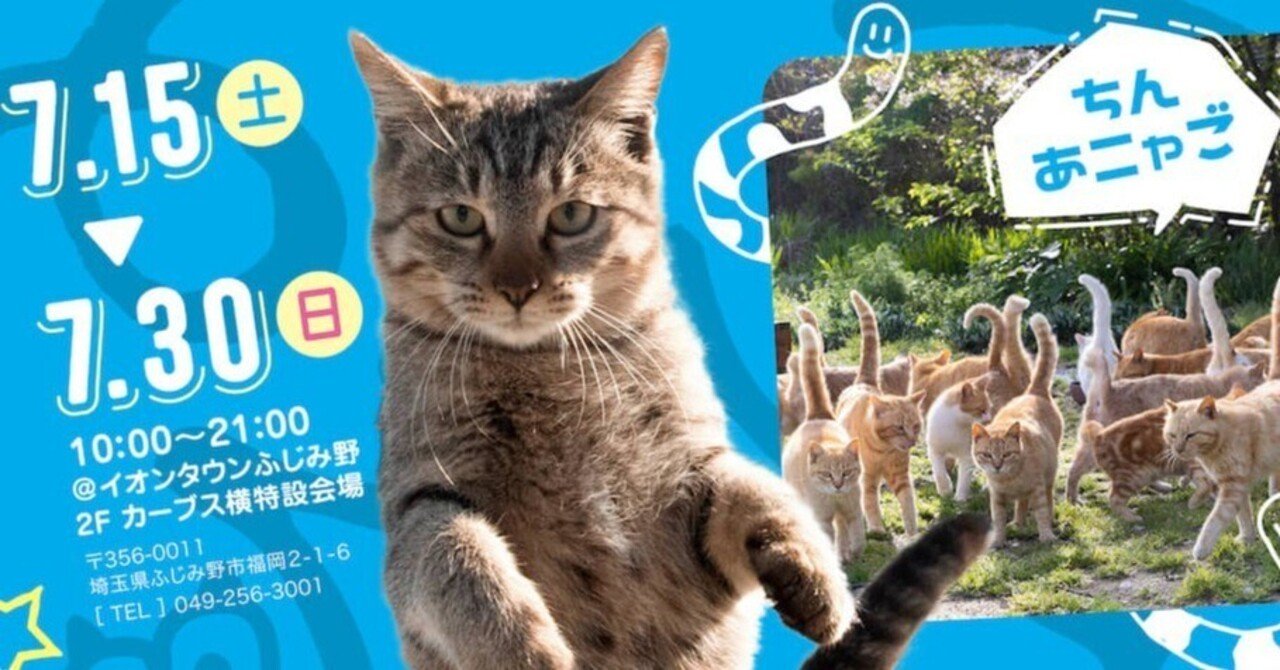 立ち猫」と記念撮影できるフォトスポットも出現！ねこ写真家・山本正義