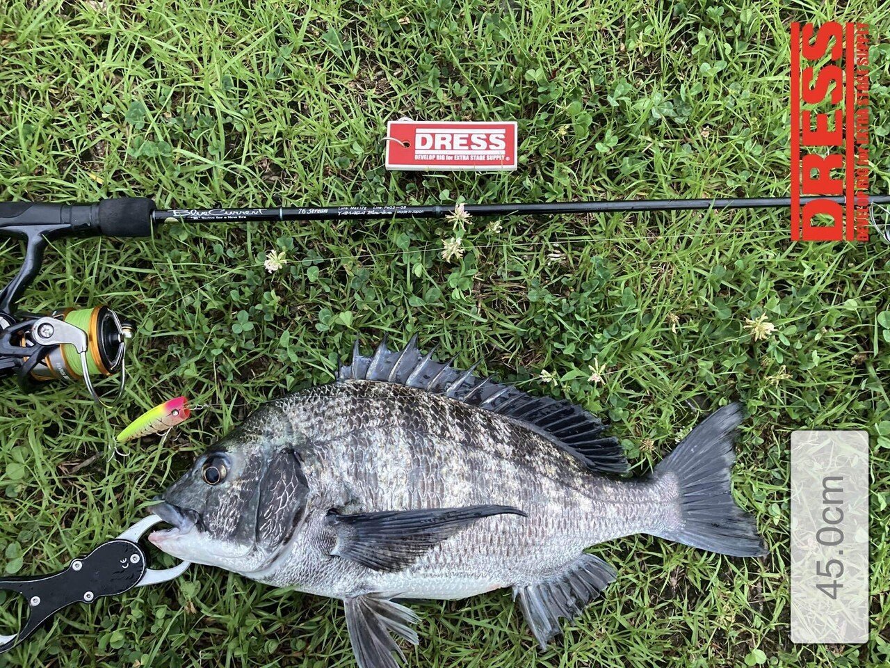 チニングトップ チヌトップの新たなコンタクトが始動している！？ | Megabass