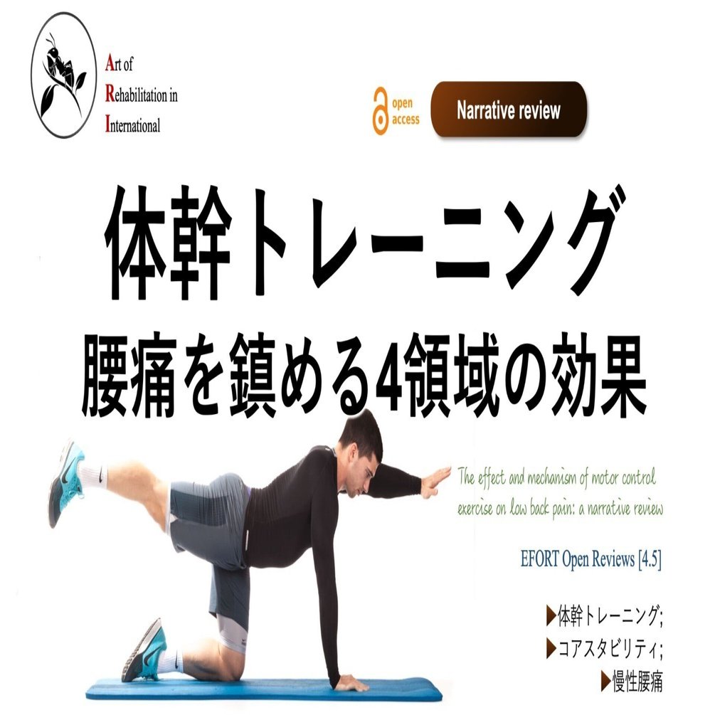 体幹トレーニング。腰痛を鎮める4領域の効果｜Super Human