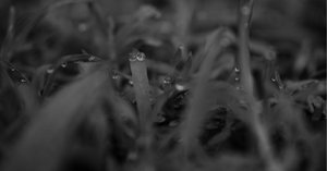 横光利一（1898/3/17 - 1947/12/30）の「時間」（1931）｜Das Augenlicht