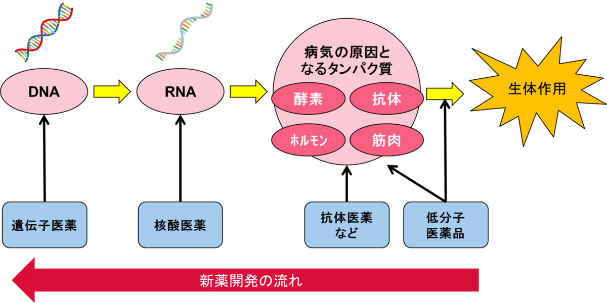 創薬イノベーション：表層から根本への深化と異分野融合｜深田