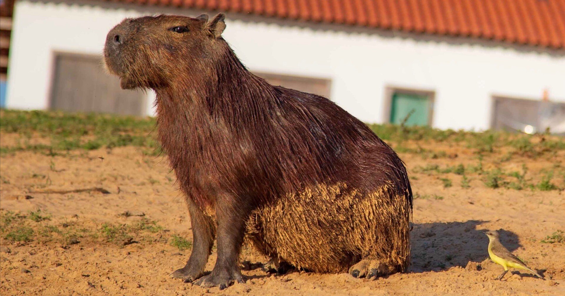 f0da30b309c35e00fe73977c9082a8