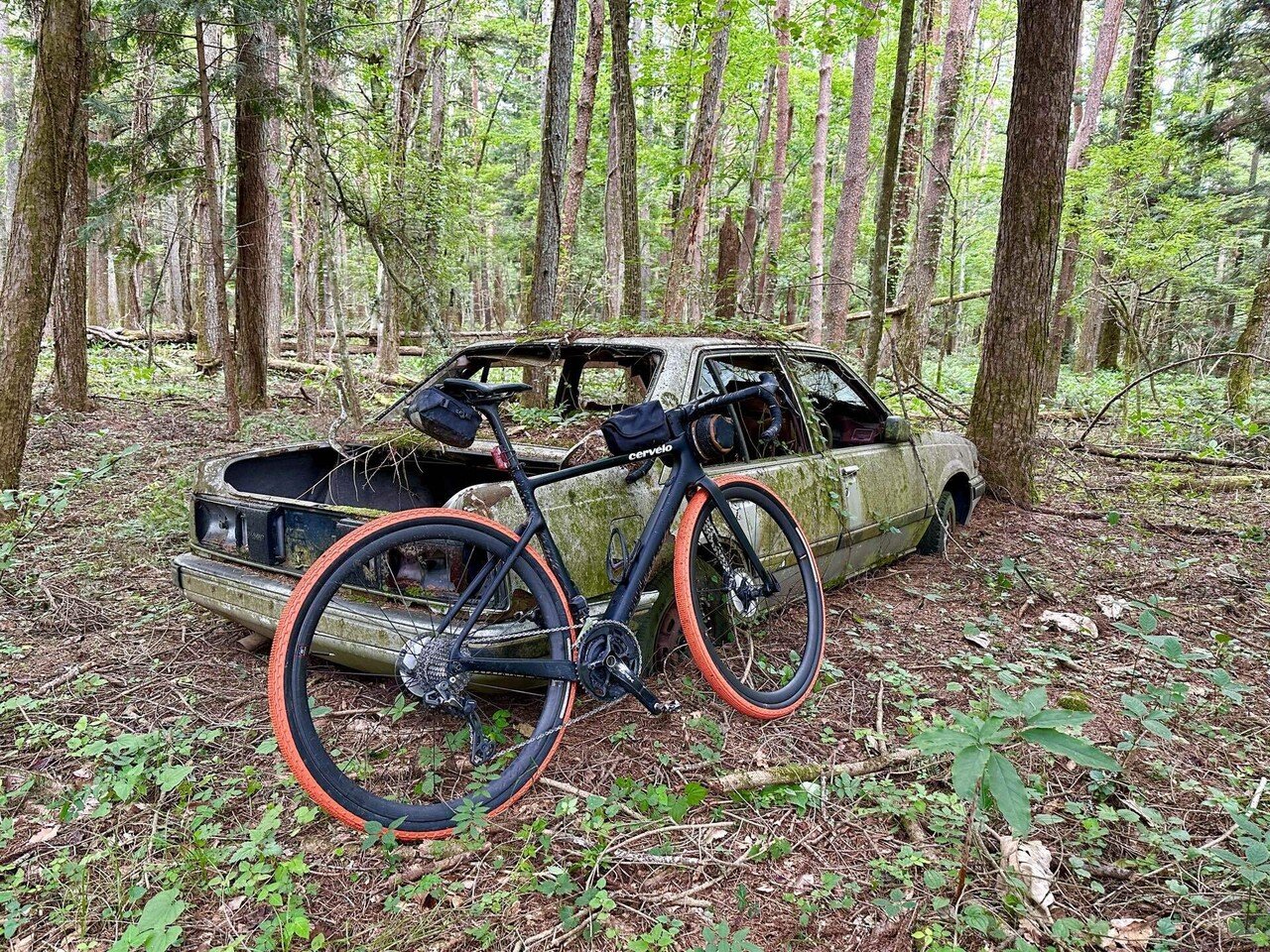 中古・帯なし★靈氣と仁術　富田流手あて療法　富田 魁二　本 Amazon.co.jp: 太田アート 油絵額 赤富士 F6号 道尾紀良 11325